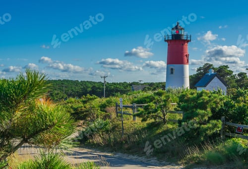 Preview: View of Nauset Lighthouse, Cape Cod, in the bushes during the day