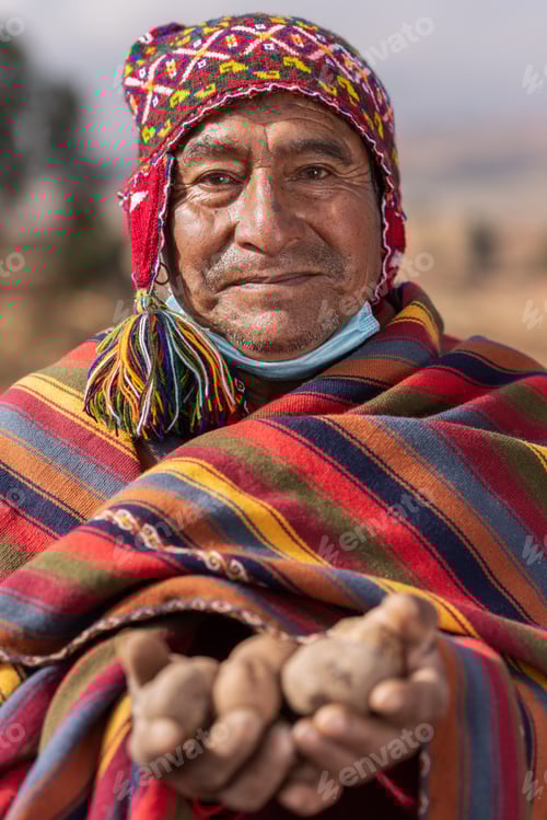 Preview: Smiling senior farmer with pile of potatoes in highlands
