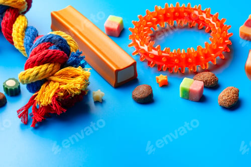 Preview: Treats and toys for dogs on blue background close up