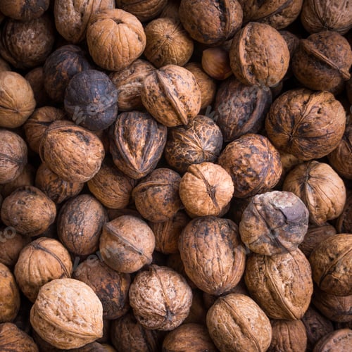 Pile of Shelled Walnuts in Close Up Still