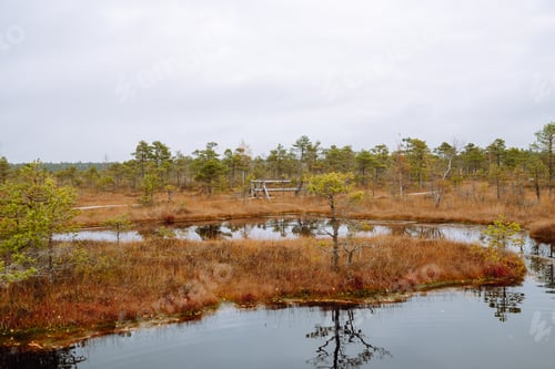 Preview: Scenic view of wooden trail through wetlands. Hiking trail for active recreation.