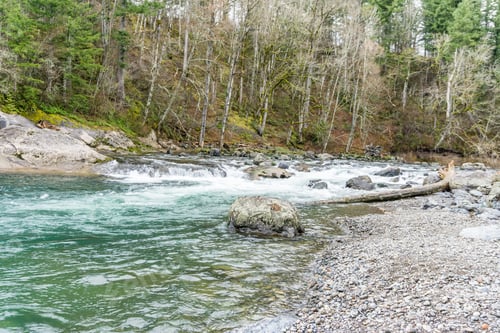 Preview: The Green River Flows Past Trees At Kanaskat-Palmer State Park In Washington State.