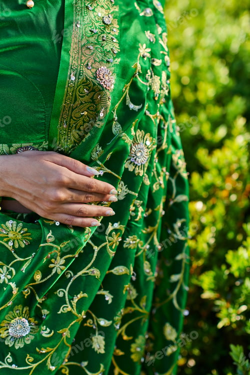Preview: cropped view of young woman in stylish sari with pattern standing near green bushes outdoors