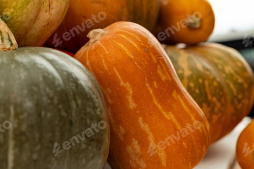 Preview: Background of a lot of colorful pumpkins
