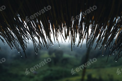 Preview: In a hut in a green rice field, rest day,rest in the rain