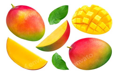 Preview: Mango collection isolated on white background with clipping path