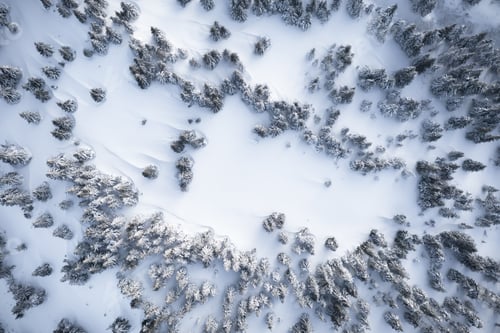 Preview: Aerial drone top down fly over winter spruce