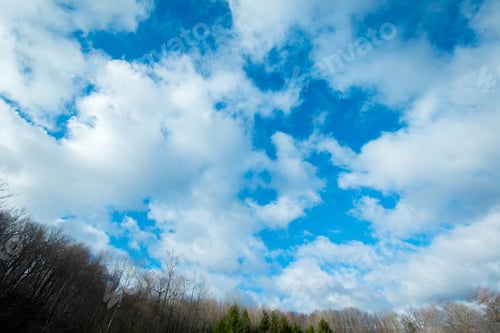 Preview: Winter forest and blue sky and clouds