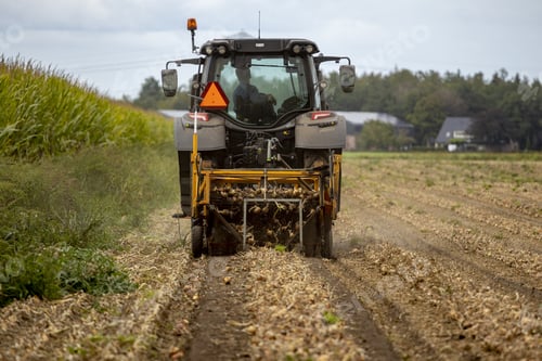 Preview: Onion grubbing machine behind tractor