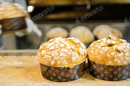 Preview: pastry baker artisan baking small group of italian panettone sweet bread typical for christmas time