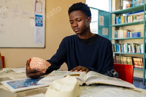 Preview: Young black man studying an anatomical brain model with an open textbook