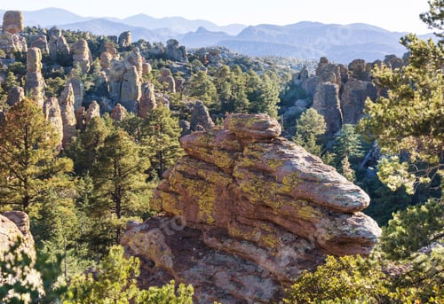 Preview: Chiricahua