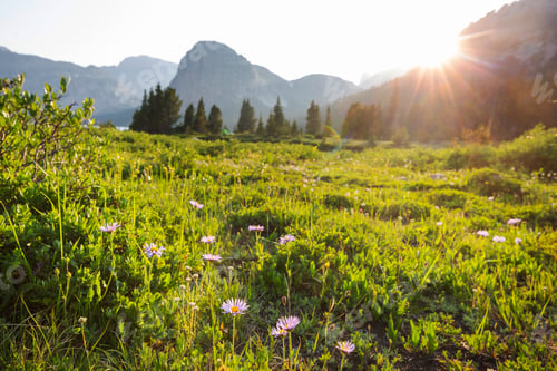 Preview: Mountains meadow