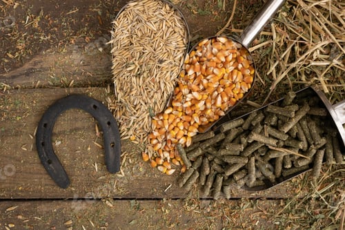 Preview: shovel spoons with horse food ingredients