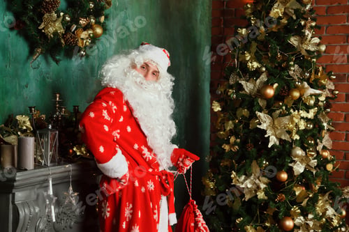 Preview: Portrait of an emotional Santa Claus in decorated living room with Christmas tree