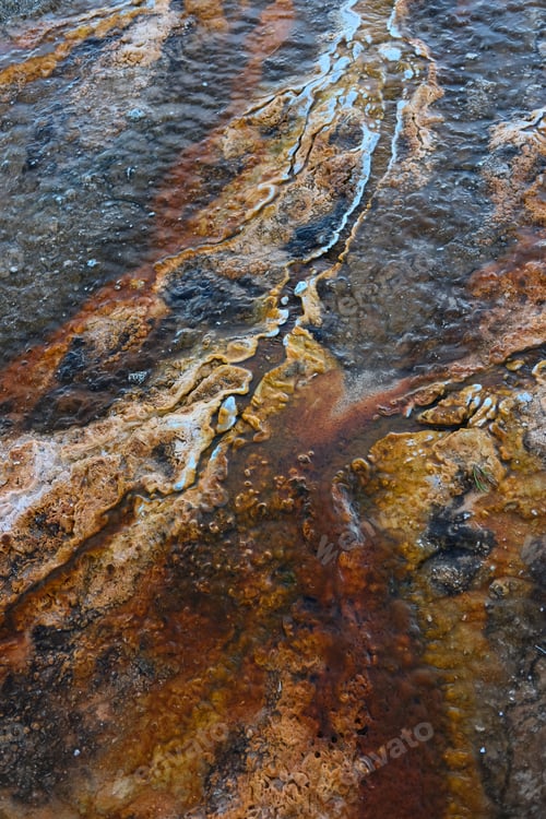 Preview: Hot thermal spring in Yellowstone