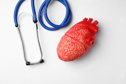 Preview: Stethoscope for checking pulse and heart model on white background, top view