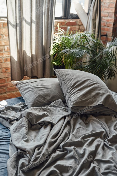 Preview: Cozy room furnished with bed and home plants
