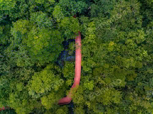 Preview: Aerial top view walkway in forest with trees and river