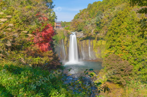 Preview: Shiraito waterfall. Maple leaves or fall foliage in autumn season near Fujikawaguchiko, Yamanashi.