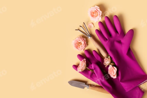 Preview: Planting tools set, pink gloves, rose flaowers, shovel and rake flat lay on yellow background