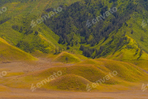 Preview: Mountains. Bromo Savanna Green Hill in the national park, East Java, Indonesia. Nature landscape