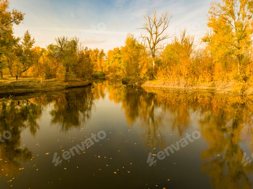 Preview: aerial panorama landscape of nature forest with river on sunset f