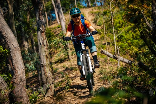 Preview: Mountain biking in spring forest
