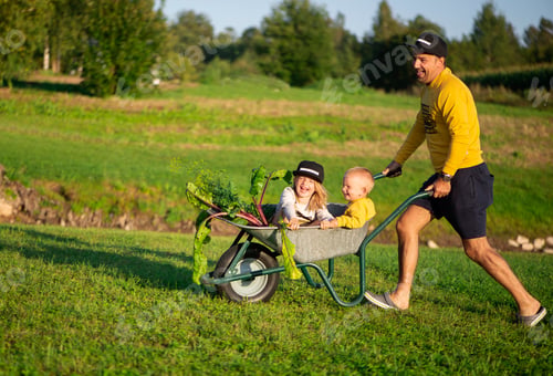 Preview: Happy father and his children playing with a wheelbarrow on a sunny day