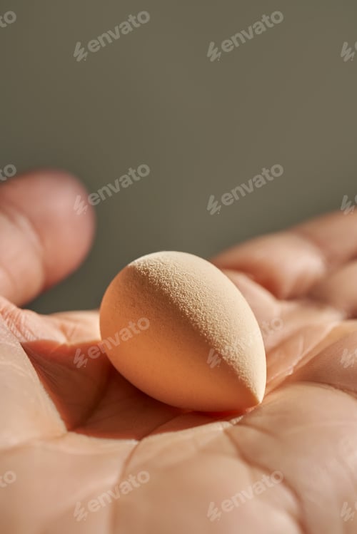 Preview: Small sponge in a woman's hand.