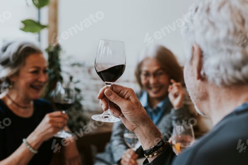 Preview: Friends drinking wine at restaurant