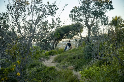 Preview: Rear View of Young Man Walking on a Path in a National Park in Noosa, Queensland, Australia.