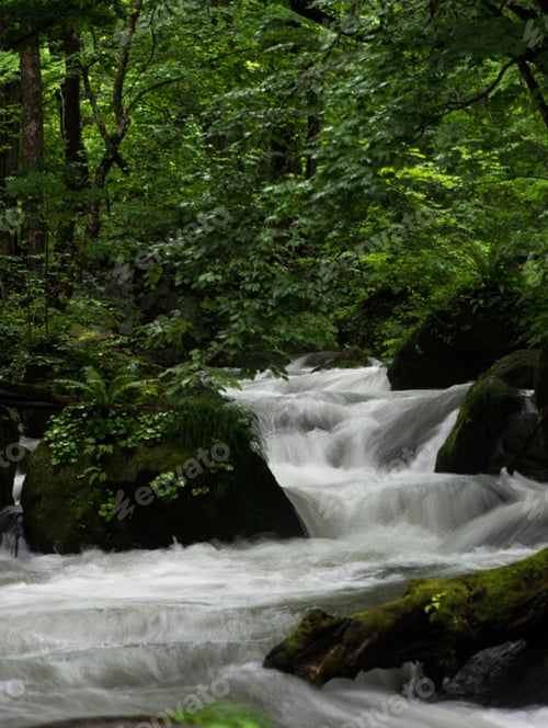 Preview: A Magical and Creative Japan pictures