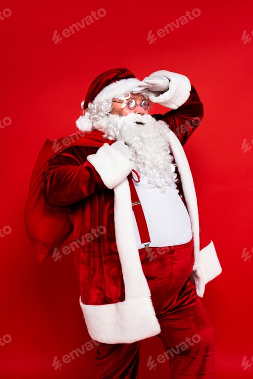 Preview: Funny Santa Claus portrait