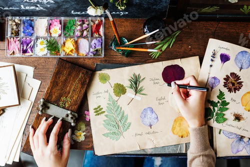 Preview: People Hand Writing Dry Flowers Plants Collection Details
