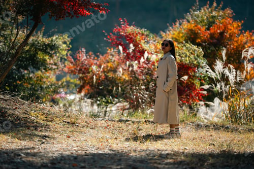 Preview: Autumn forest path. Orange color tree, red brown maple leaves in fall city park. Nature scene