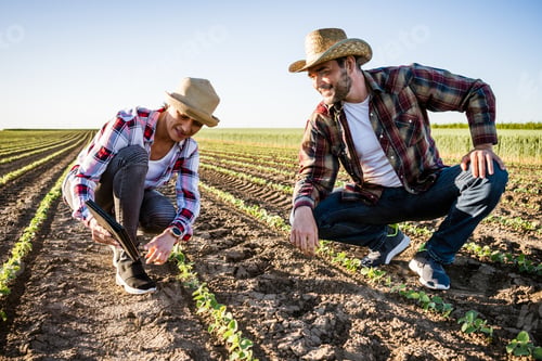 Preview: Agricultural occupation