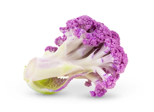 Preview: Purple cauliflower on white