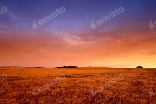Preview: A landscape photo of Famland - harvest and sunset