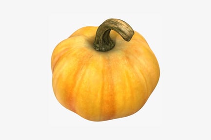 Preview: Close-up of a round pumpkin with prominent stem