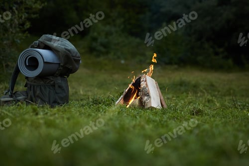 Preview: Campfire in the forest