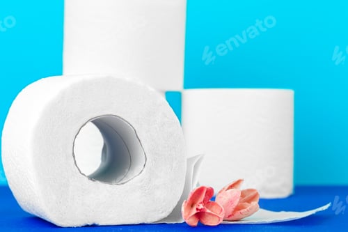 Preview: toilet paper rolls with natural flowers close up