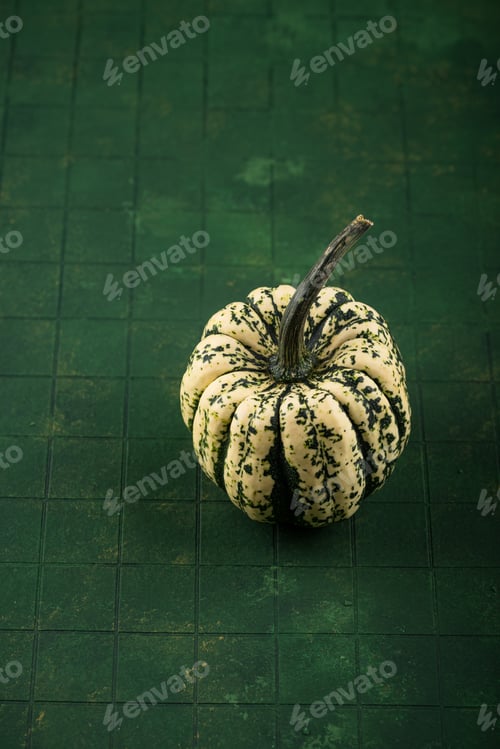 Preview: Decorative pumpkin on green background.