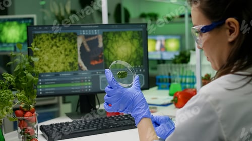 Preview: Botanist researcher holding petri dish with green leaf sample analyzing genetic mutation