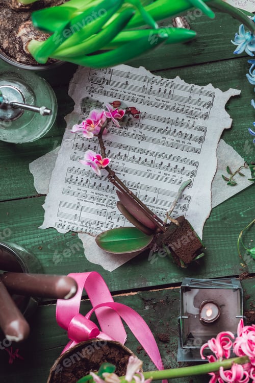 Visualização: Composição de jacintos e narcisos em estilo vintage para o dia dos namorados - flores da primavera