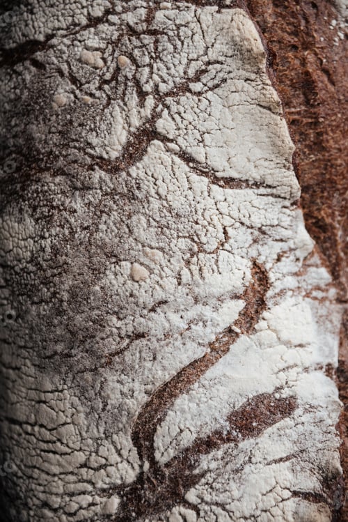 Preview: Cropped photo of bread with flour