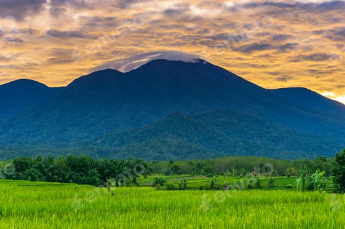 Preview: beautiful morning view from Indonesia of mountains and tropical forest