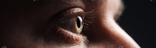 Preview: close up view of human eye with eyelashes looking away in darkness, panoramic shot