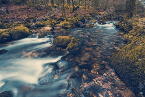 Preview: Fast flowing stream in ancient forest, toned and colored effect