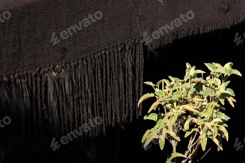 Preview: Goat hair tents of nomadic people